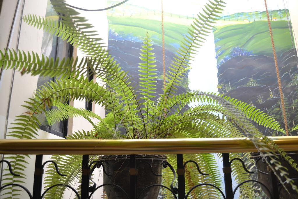 Mashy'S Hostal Otavalo Eksteriør billede